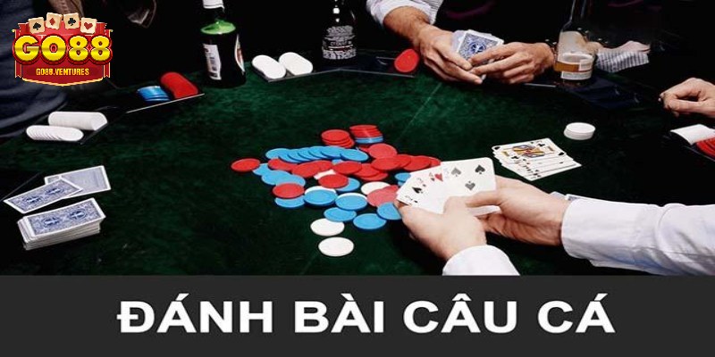 Tìm hiểu khái quát về game đánh bài câu cá là gì?